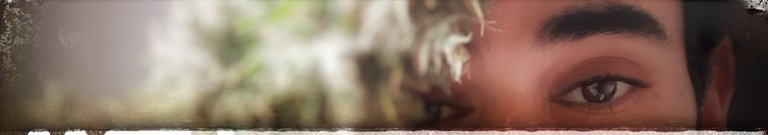 20220506_112435-01.jpeg