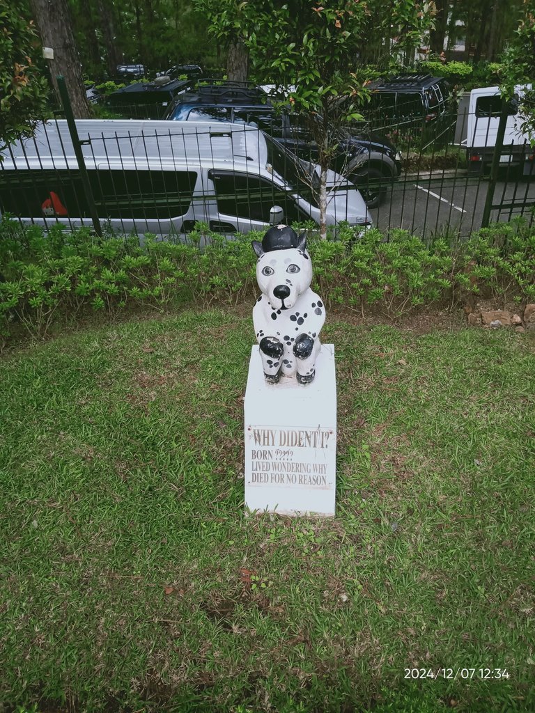 IMG20241207123456.jpg