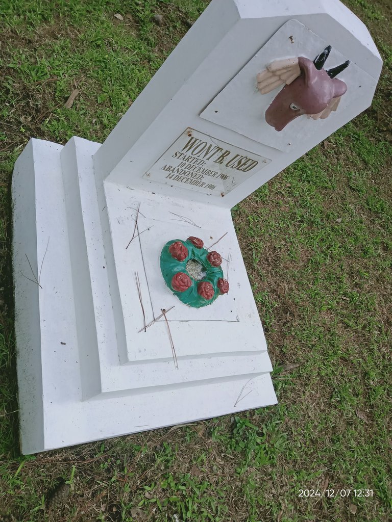 IMG20241207123141.jpg