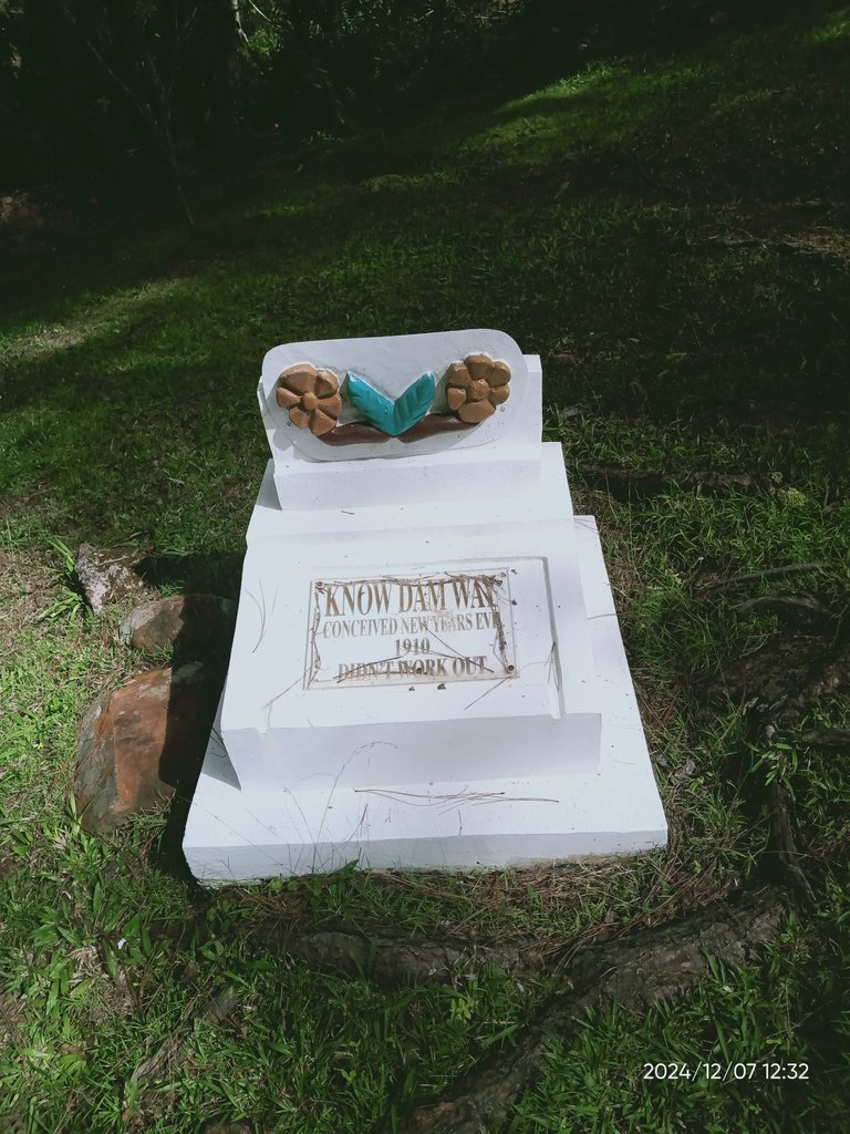 IMG20241207123218.jpg