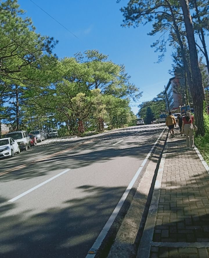 Gallery_1747795636056.jpg