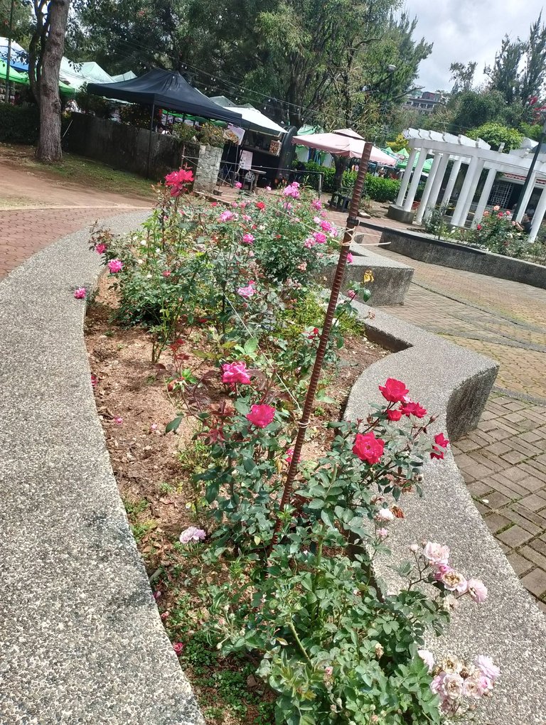 IMG_20250522_125834.jpg