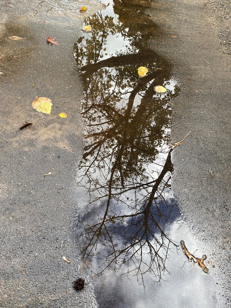 2.JPG