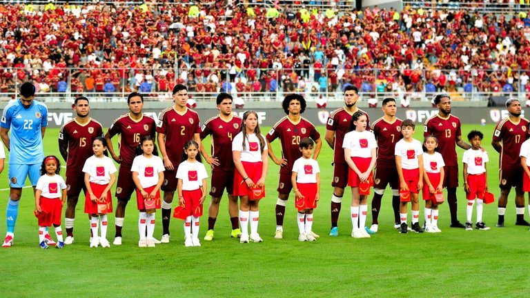 Vinotinto2.jpeg