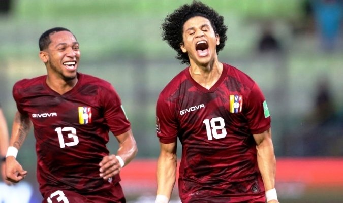 vinotinto1.jpg