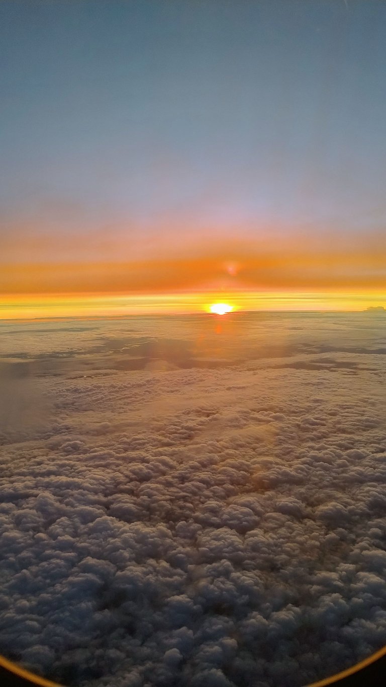 1000135931.jpg