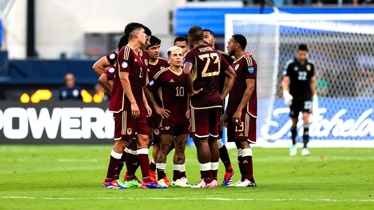 Vinotinto1.jpeg