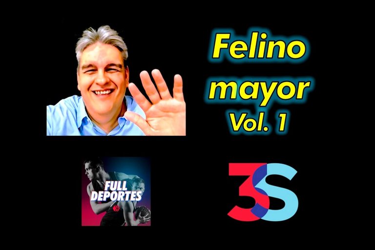 Portada felino vol 1.jpg