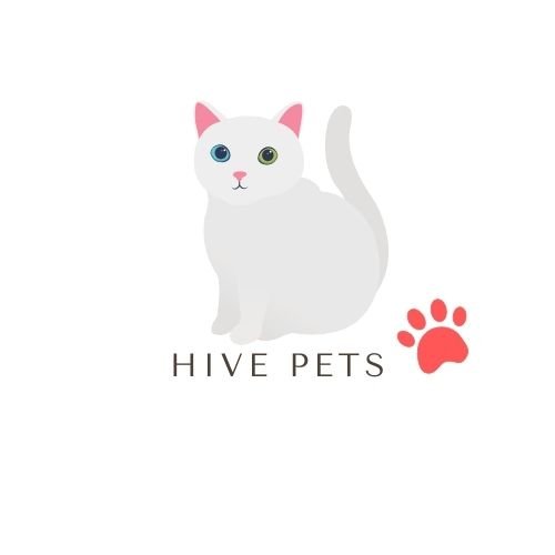 hives pets.jpg