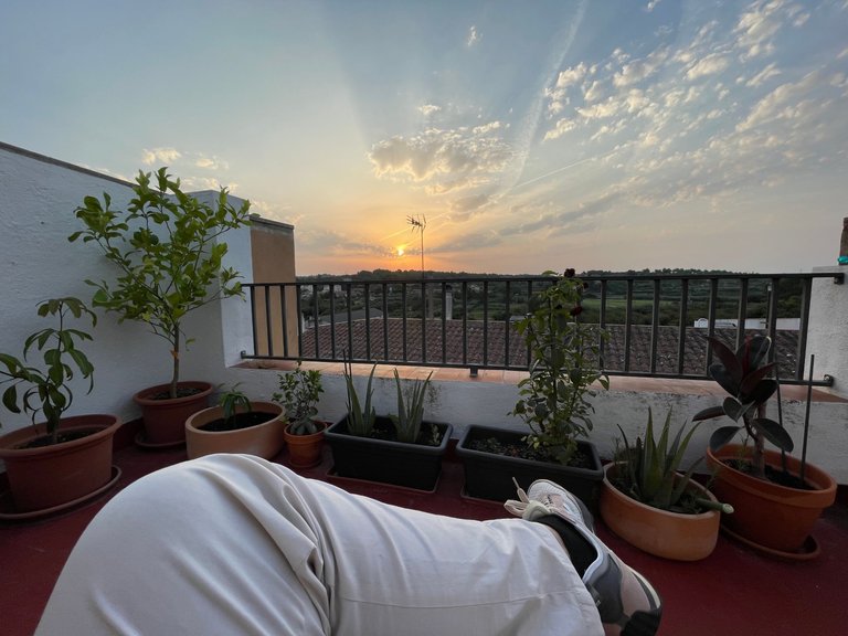 sun.jpg