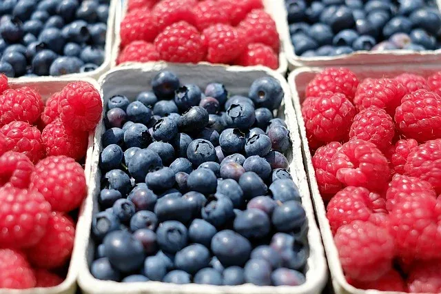 berries-1493905_640.webp