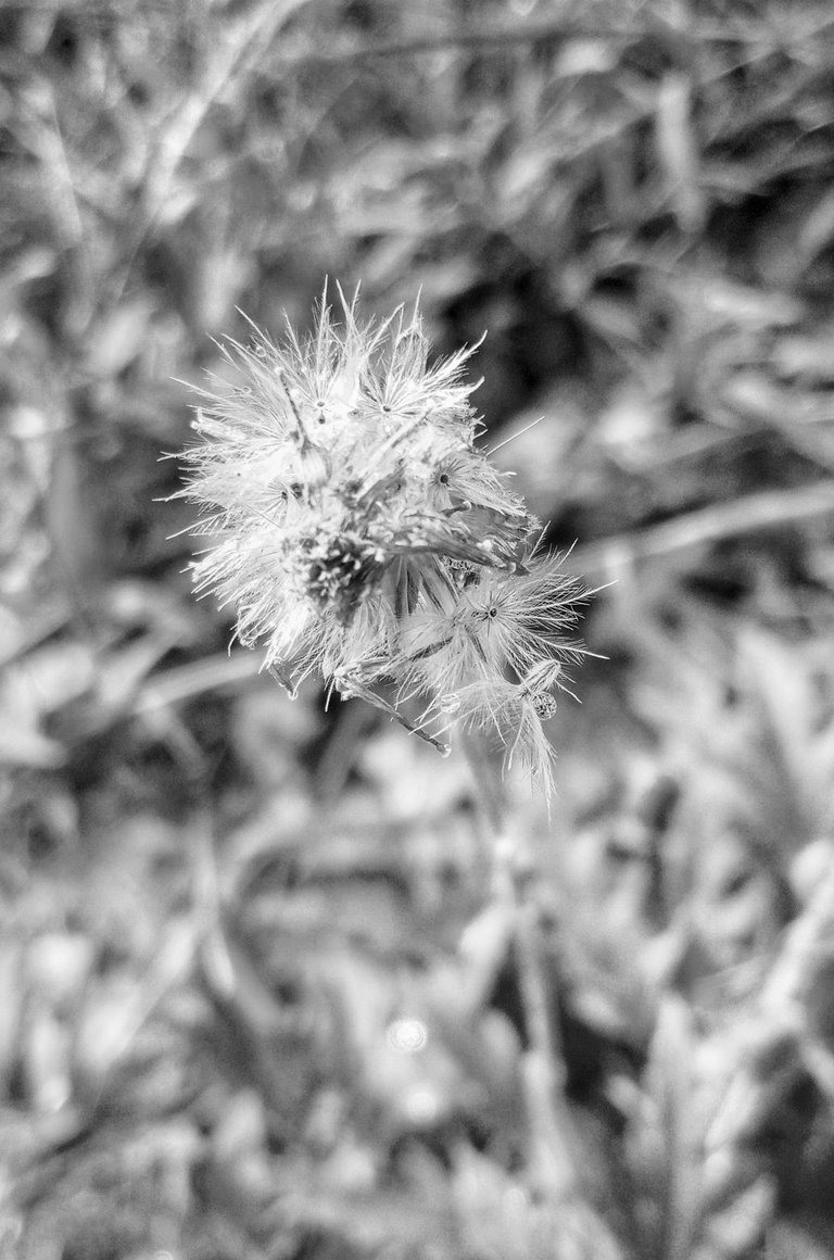 20250226_181320.jpg