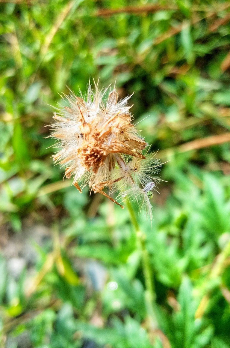 20250222_083513-01.jpeg