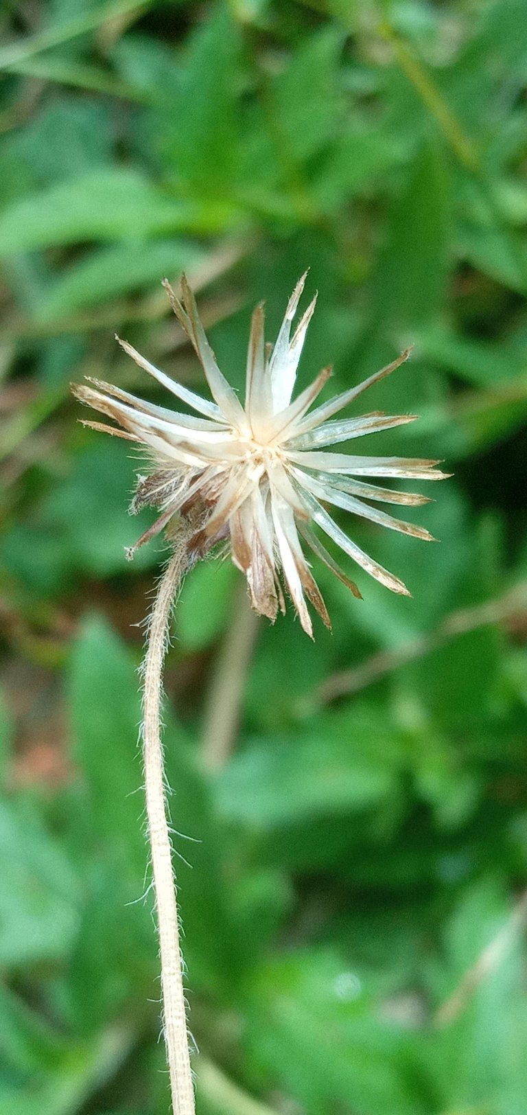 20250208_124656.jpg