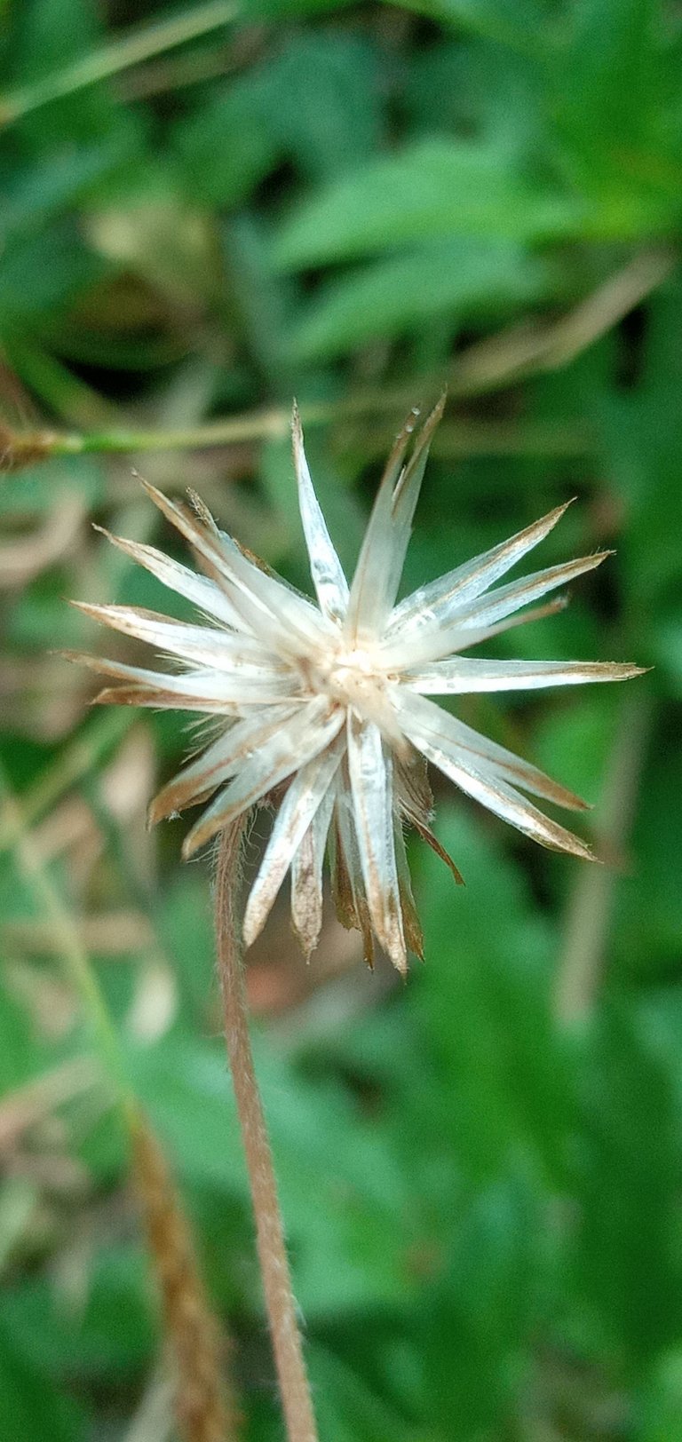 20250208_124723.jpg