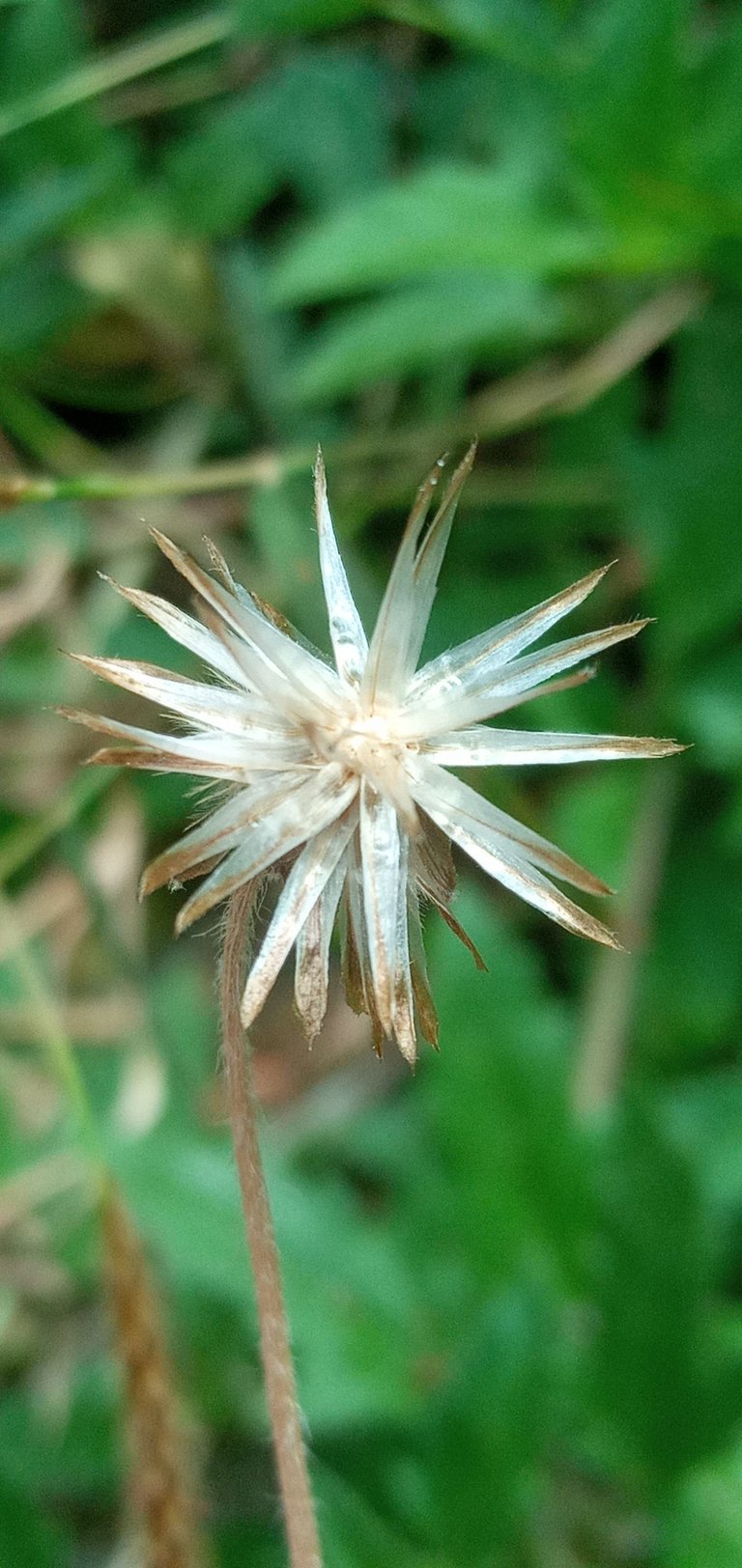 20250208_124722.jpg