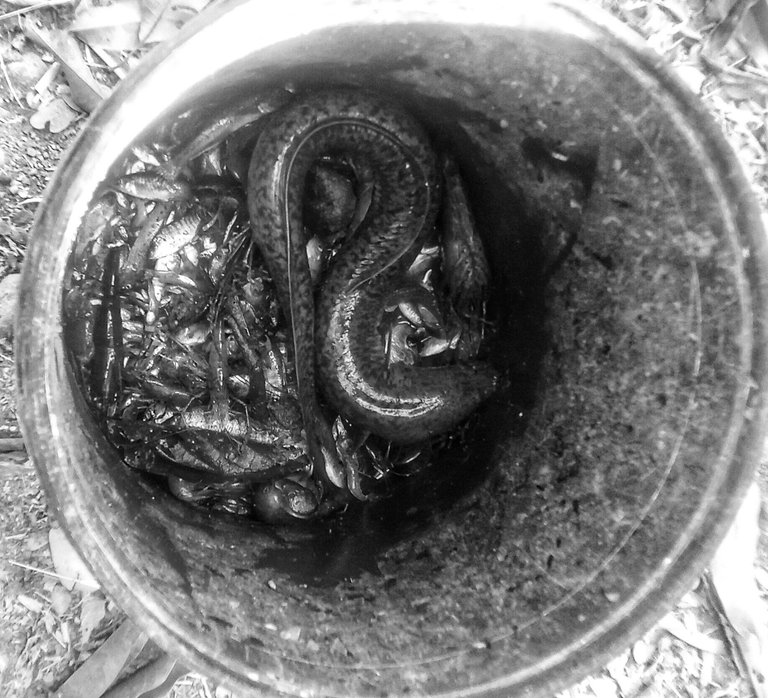 20250419_092224-02.jpeg
