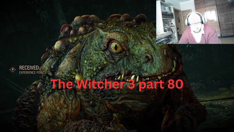 The Witcher 3 part 80.png