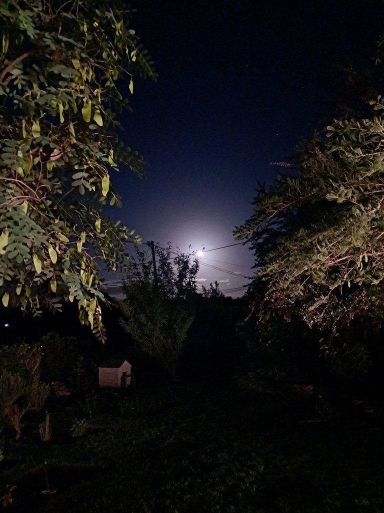 20250414_194602.jpg
