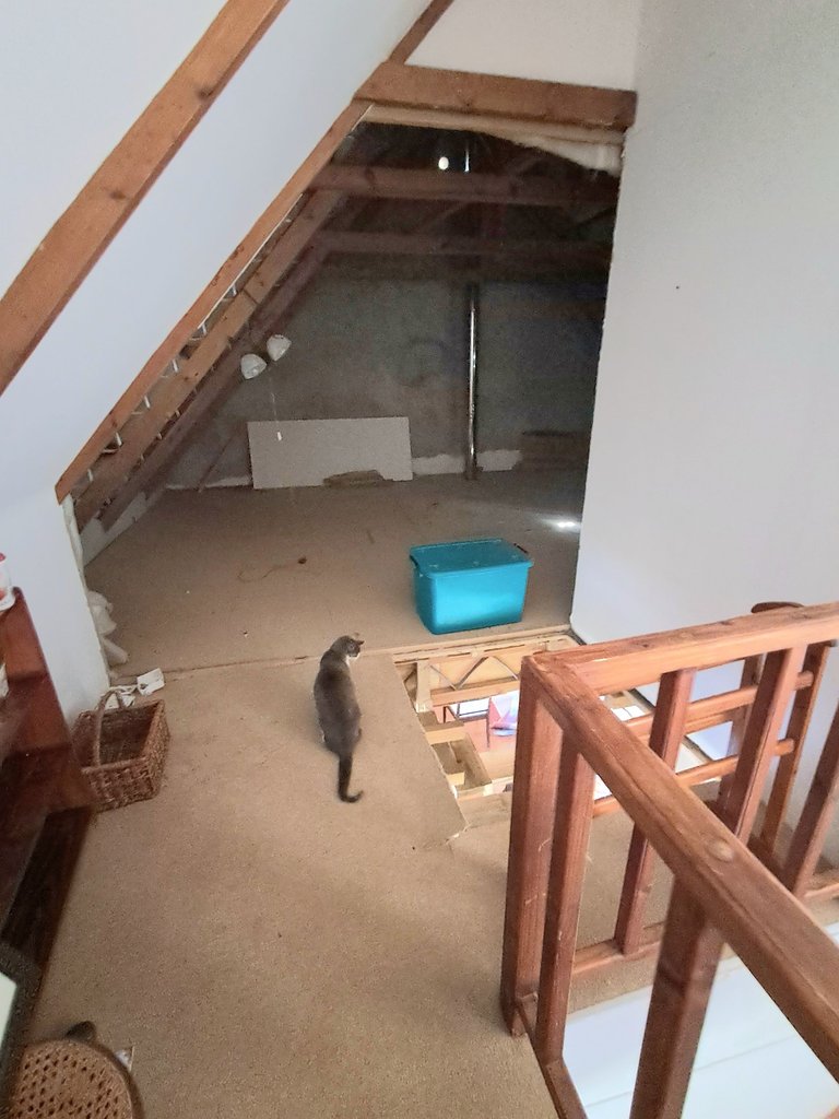 Hole in the first floor