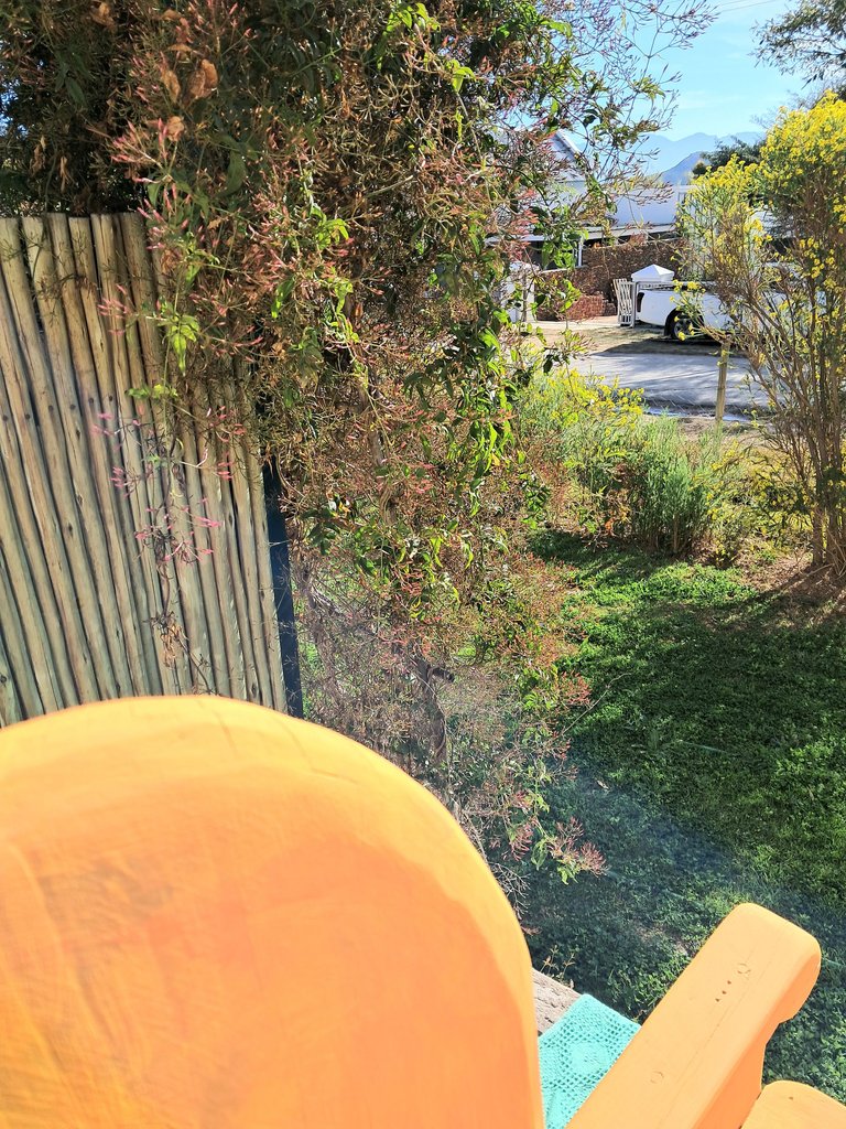 1000039318.jpg