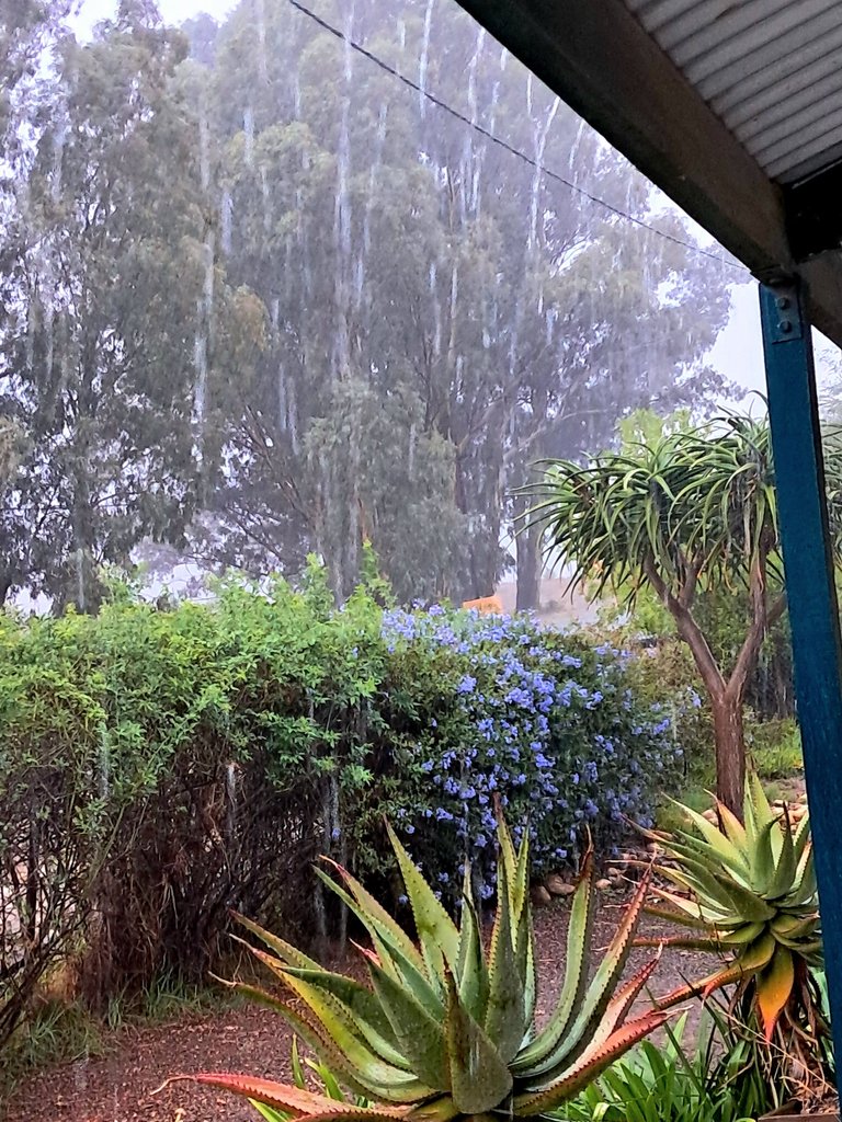 Pouring rain