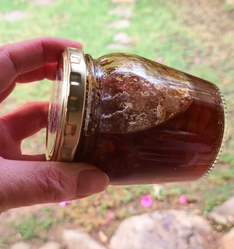 Lemon chilli marmalade: disastrous batch 1