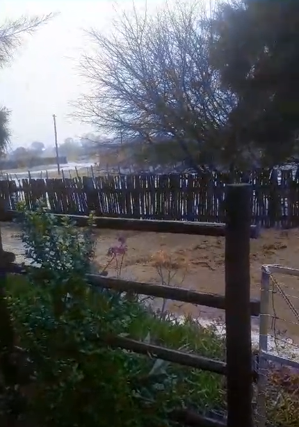 A snip from RR's video taken from her veranda