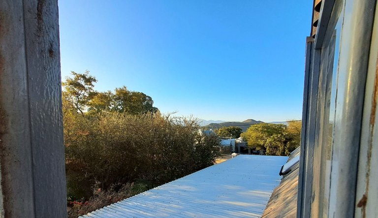 The new view