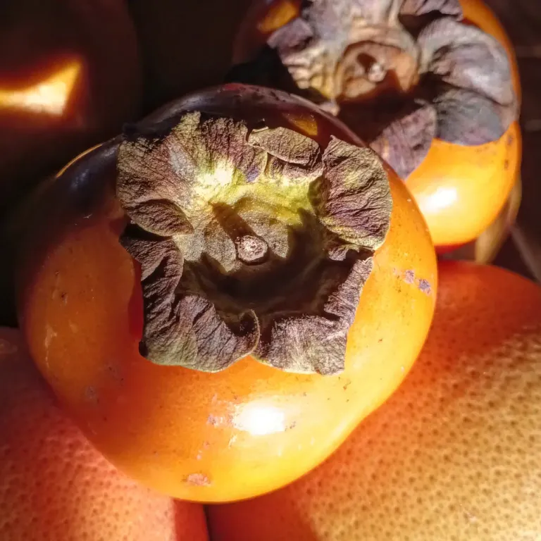 Persimmons aka Sharon fruit
