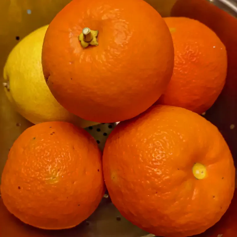 oranges