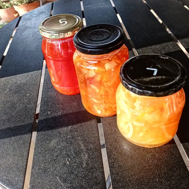 The colours of marmalade: ruby grapefruit, three fruit and lemon (l - r) 