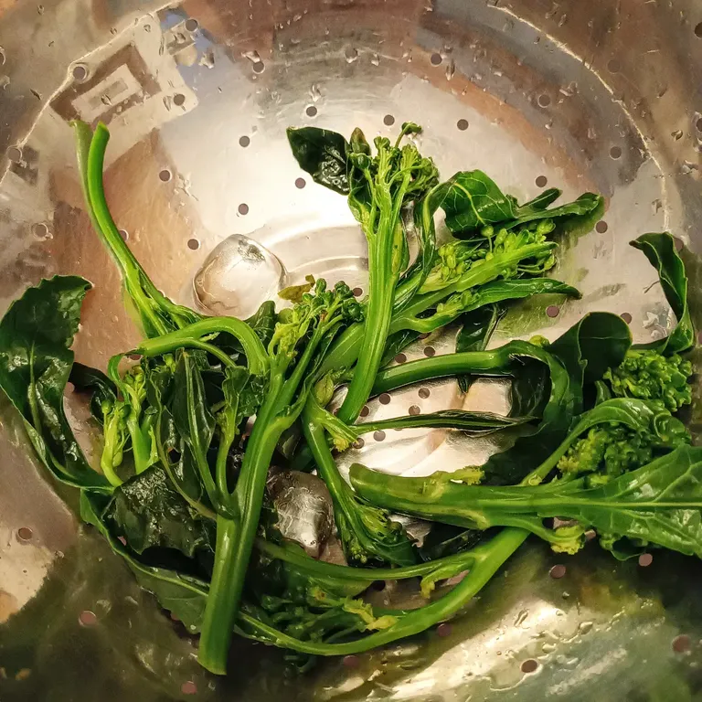 The brassica almost flowers - blanched and iced ready for the salad