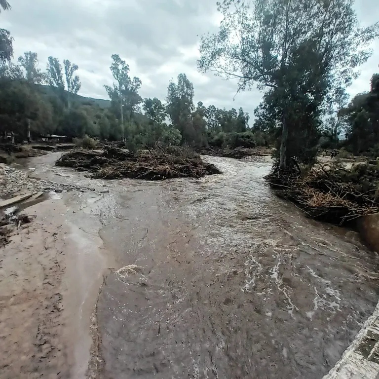 Downstream debris island