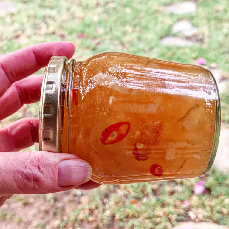 Lemon chilli jam: perfect batch 2