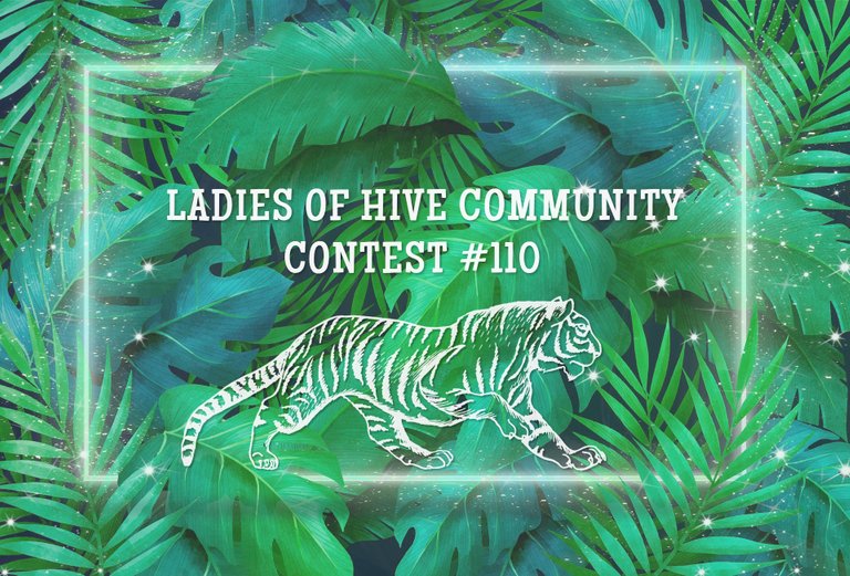 LOH CONTEST 110 COVER.png