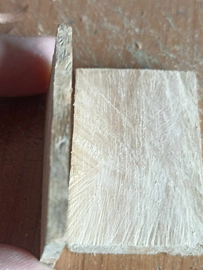 490758102_1215364970093659_3617387491296839369_n.jpg