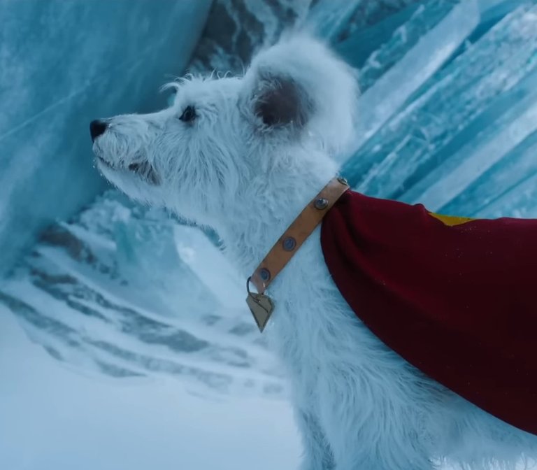 937470-krypto-20-20superman.jpg