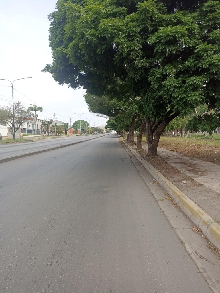 Sin título10.jpg