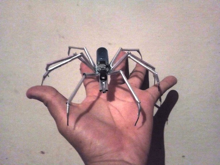 ARAÑA q.jpg