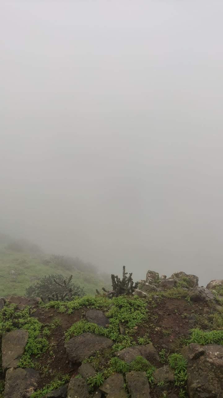 IMG-20190826-WA0003.jpg