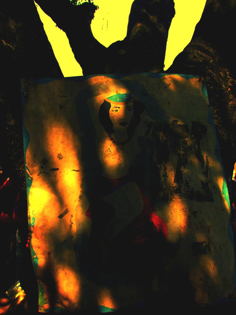 DSCF2976.jpg