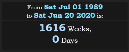 From the first Loveparade to 6202020 are 1616w.PNG