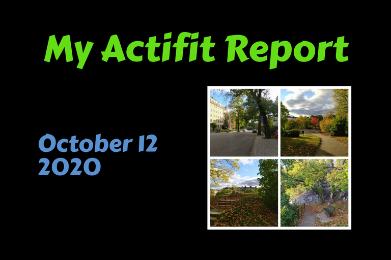 actifit_1_original7.png