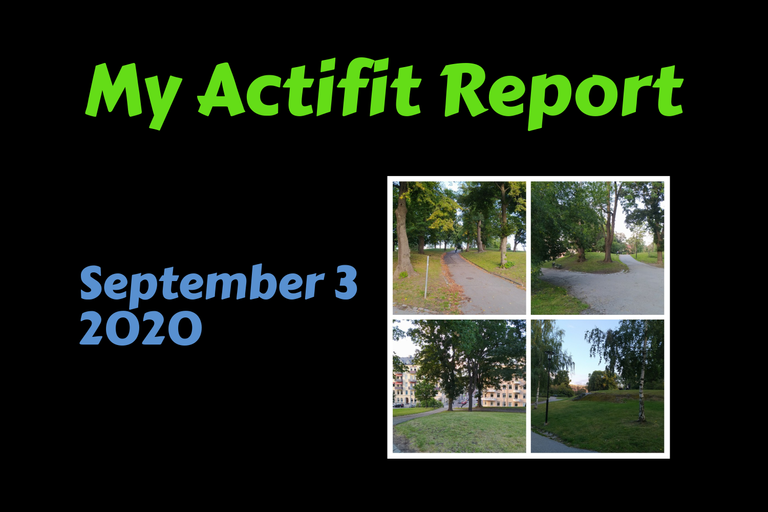 actifit_1_original4.png