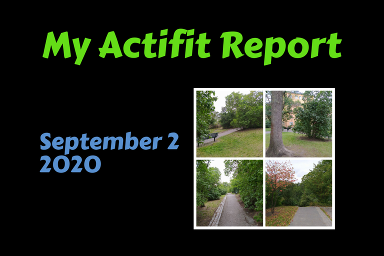 actifit_1_original3.png