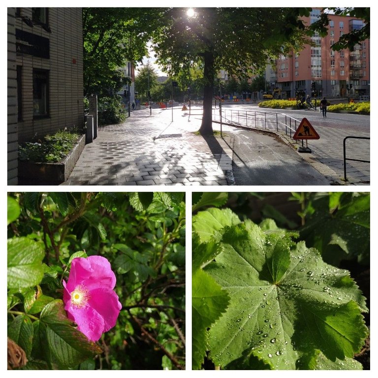 20220716_132225-COLLAGE.jpg