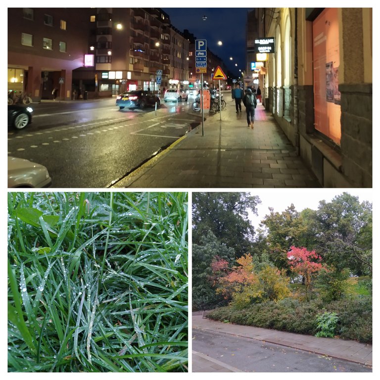 20231007_163849-COLLAGE.jpg