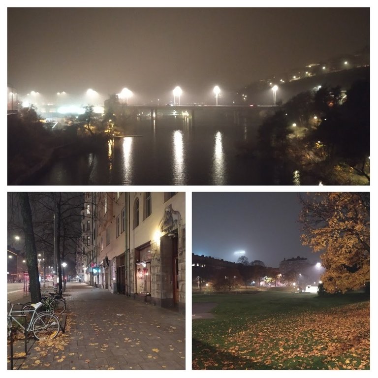 20211031_195437-COLLAGE.jpg