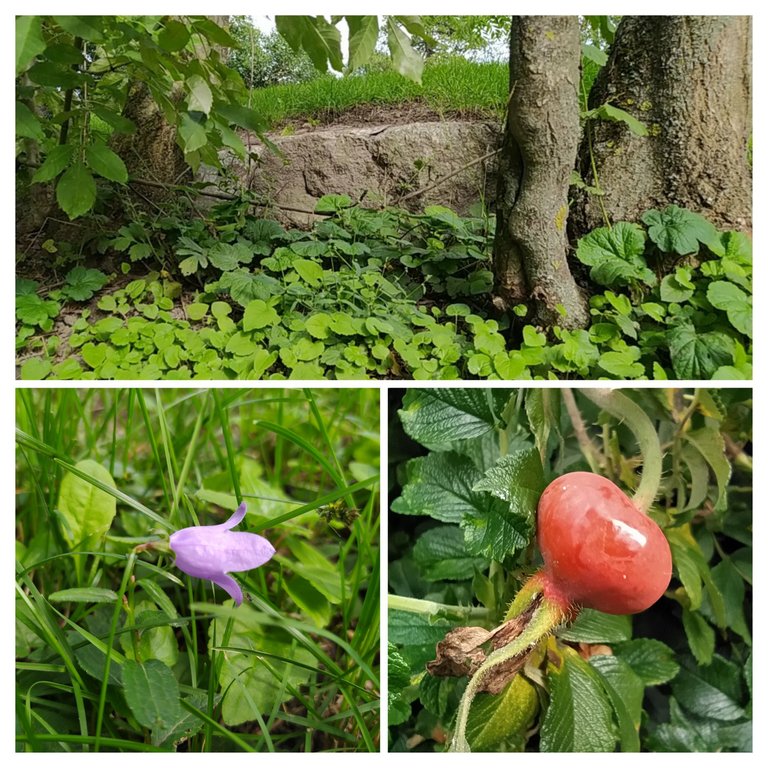 20230819_175309-COLLAGE.jpg